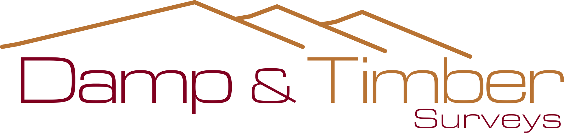 Damp and Timber Surveys | Expert Advice on Damp and Decay in Buildings